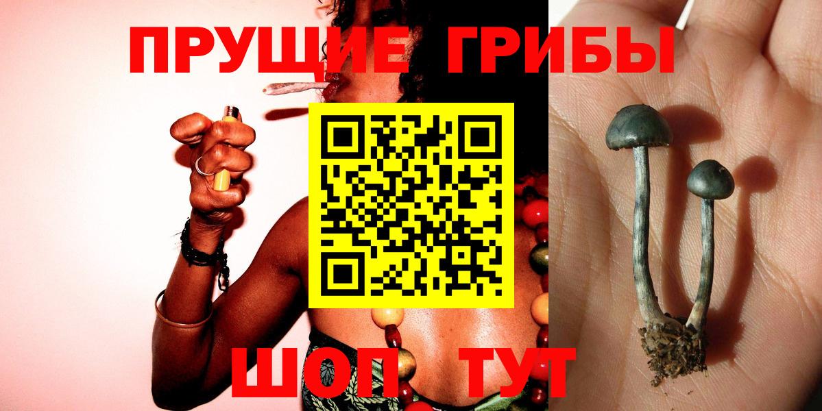 цена наркотик  Псилоцибиновые грибы Psilocybine cubensis  Вход с VPN  Семилуки 
