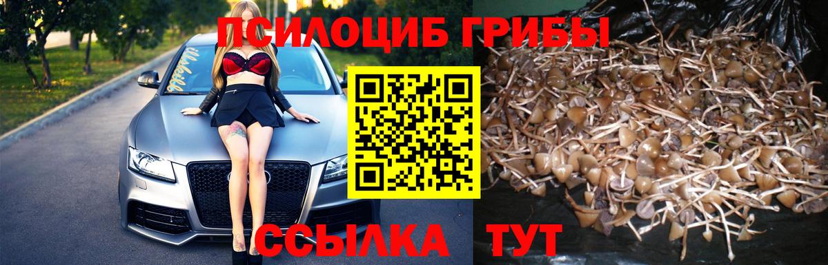 Галлюциногенные грибы Cubensis Семилуки
